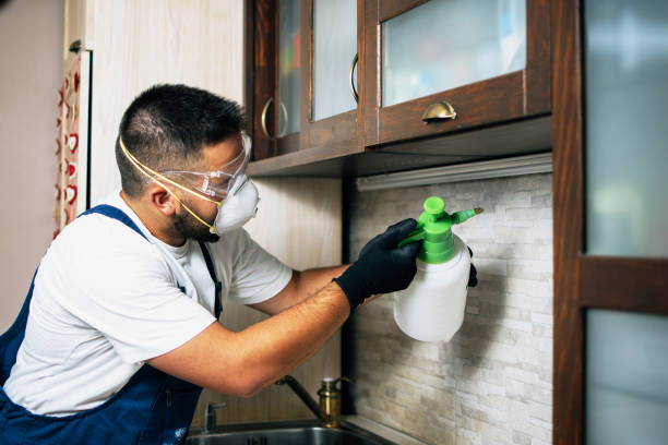 Best Rat Extermination Near Me  in Aurora, IN