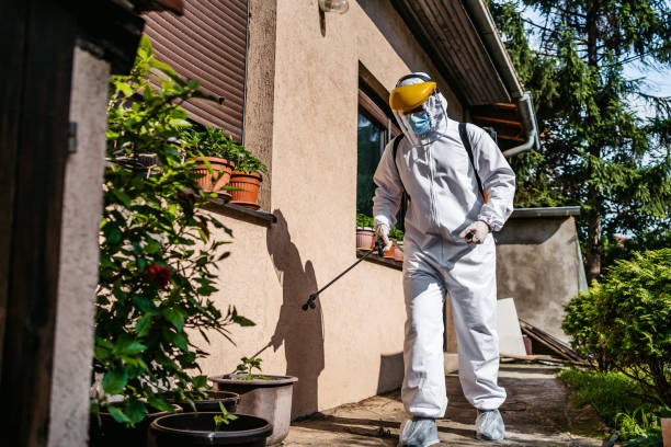 Trusted Aurora, IN Pest Control Experts