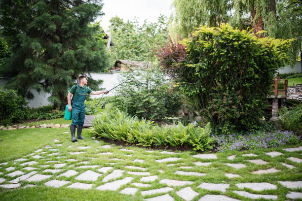 Best Mosquito Control Services  in Aurora, IN