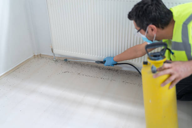 Best Bed Bug Extermination  in Aurora, IN
